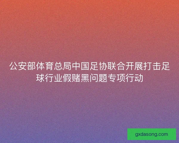 公安部体育总局中国足协联合开展打击足球行业假赌黑问题专项行动