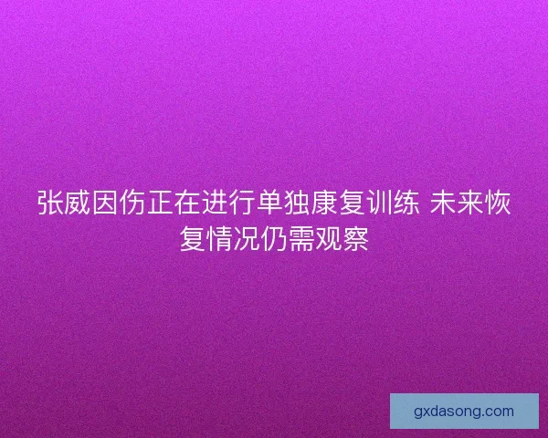 张威因伤正在进行单独康复训练 未来恢复情况仍需观察